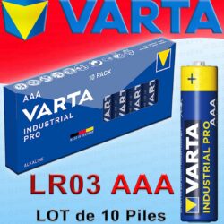 10 Piles AAA / LR03 Varta Industrial PRO 4003