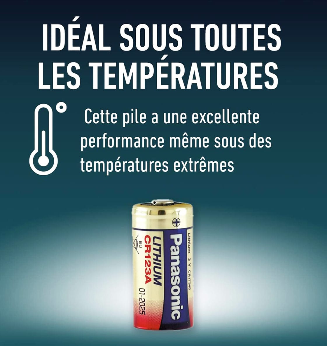 Lot de piles CR123A Panasonic lithium 3V